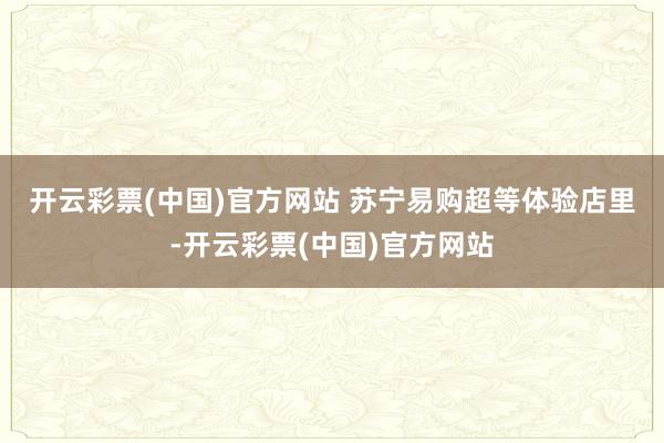 开云彩票(中国)官方网站 　　苏宁易购超等体验店里-开云彩票(中国)官方网站