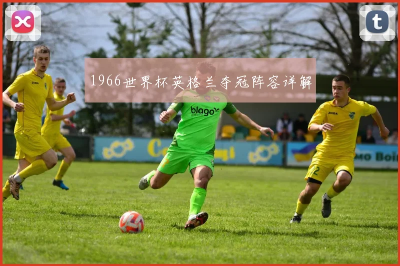 1966世界杯英格兰夺冠阵容详解