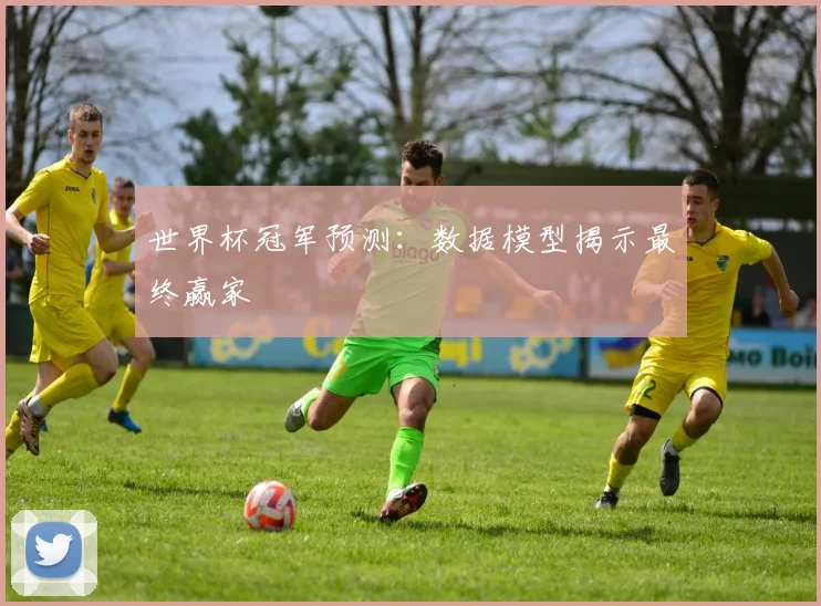 世界杯冠军预测：数据模型揭示最终赢家