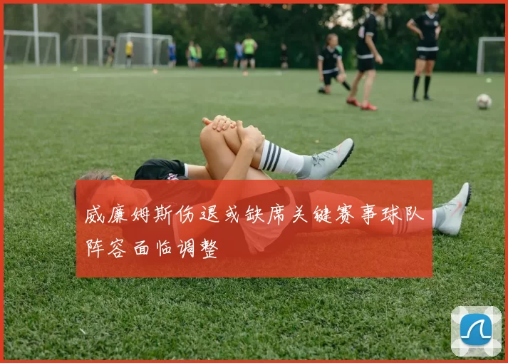 威廉姆斯伤退或缺席关键赛事球队阵容面临调整