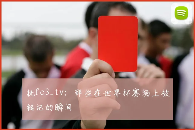 抚fc3_tv:那些在世界杯赛场上被铭记的瞬间