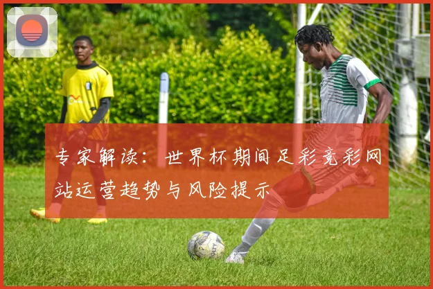 专家解读:世界杯期间足彩竞彩网站运营趋势与风险提示