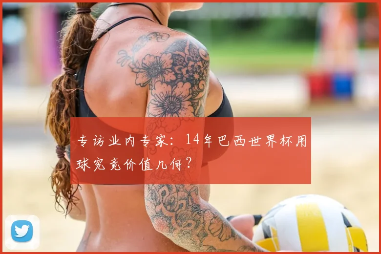 专访业内专家:14年巴西世界杯用球究竟价值几何?