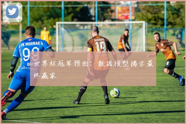 世界杯冠军预测：数据模型揭示最终赢家