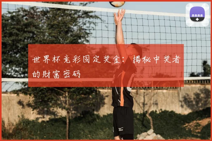 世界杯竞彩固定奖金:揭秘中奖者的财富密码
