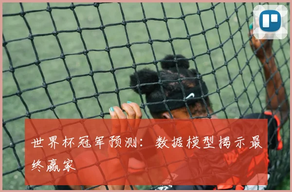 世界杯冠军预测:数据模型揭示最终赢家