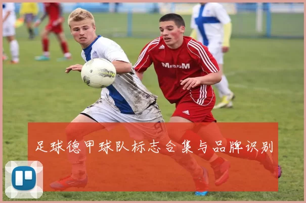 足球德甲球队标志合集与品牌识别