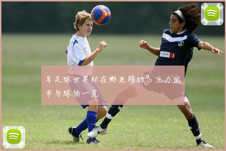 年足球世界杯在哪里踢的?主办城市与球场一览
