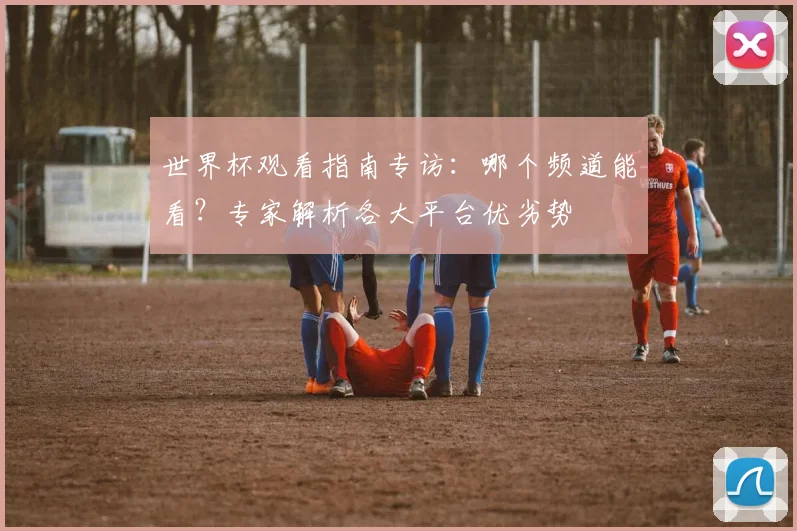 世界杯观看指南专访:哪个频道能看?专家解析各大平台优劣势