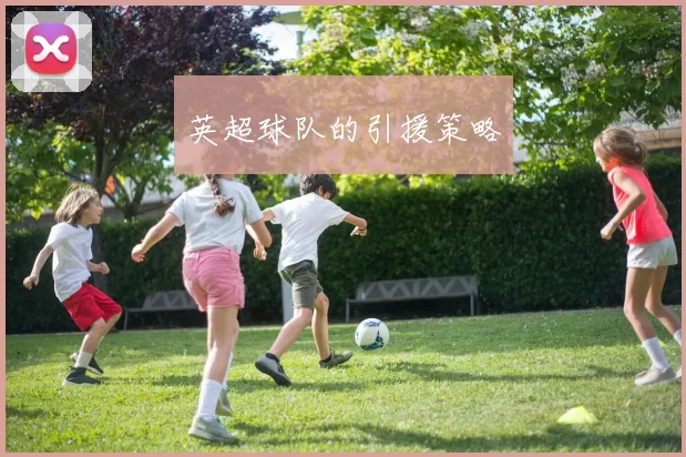 英超球队的引援策略