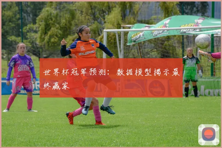 世界杯冠军预测:数据模型揭示最终赢家