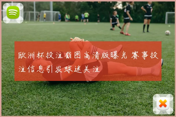 欧洲杯投注截图高清版曝光 赛事投注信息引发球迷关注
