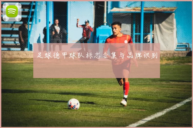 足球德甲球队标志合集与品牌识别