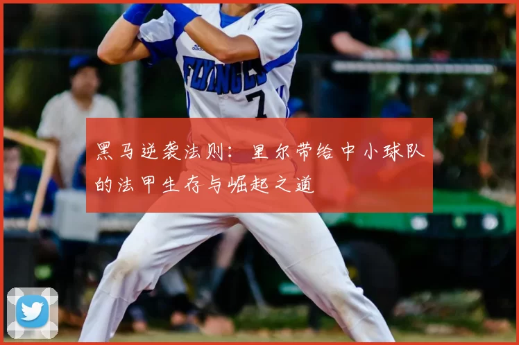 黑马逆袭法则：里尔带给中小球队的法甲生存与崛起之道