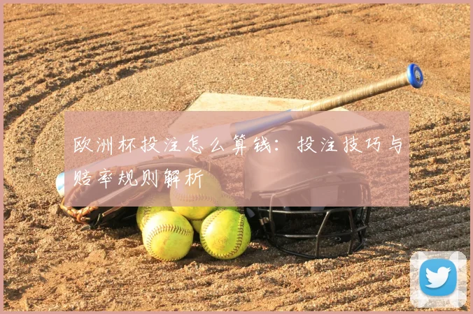 欧洲杯投注怎么算钱:投注技巧与赔率规则解析