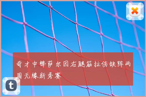 奇才中锋萨尔因右腿筋拉伤缺阵两周无缘新秀赛