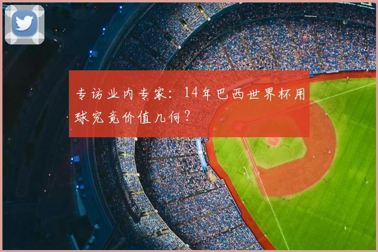 专访业内专家:14年巴西世界杯用球究竟价值几何?