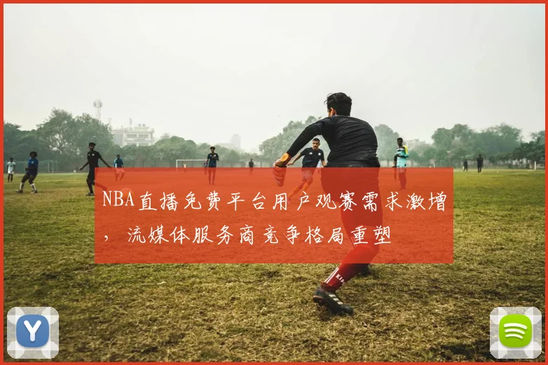 NBA直播免费平台用户观赛需求激增，流媒体服务商竞争格局重塑