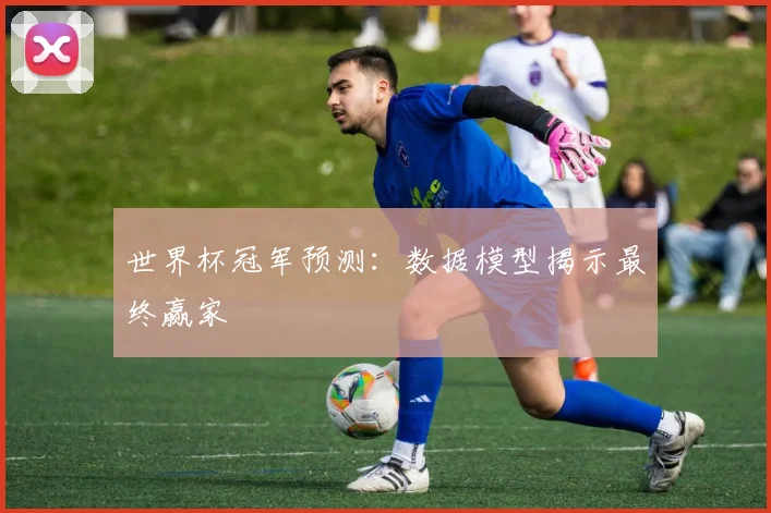 世界杯冠军预测：数据模型揭示最终赢家