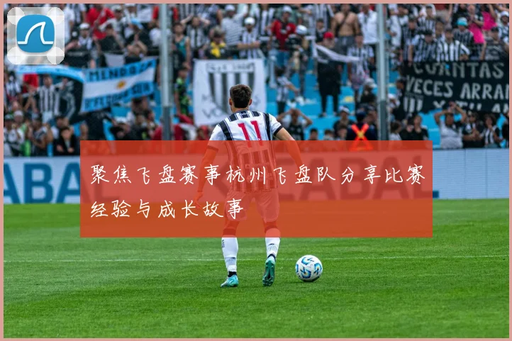 聚焦飞盘赛事杭州飞盘队分享比赛经验与成长故事