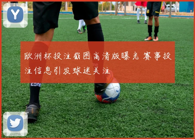 欧洲杯投注截图高清版曝光 赛事投注信息引发球迷关注