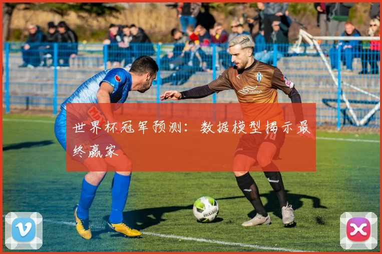 世界杯冠军预测：数据模型揭示最终赢家