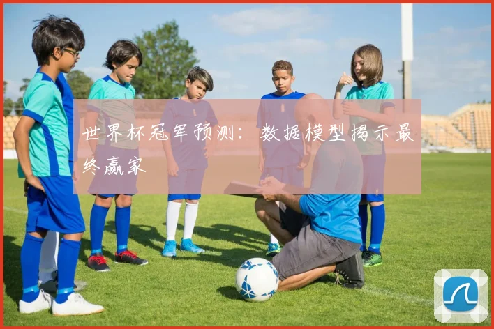 世界杯冠军预测:数据模型揭示最终赢家