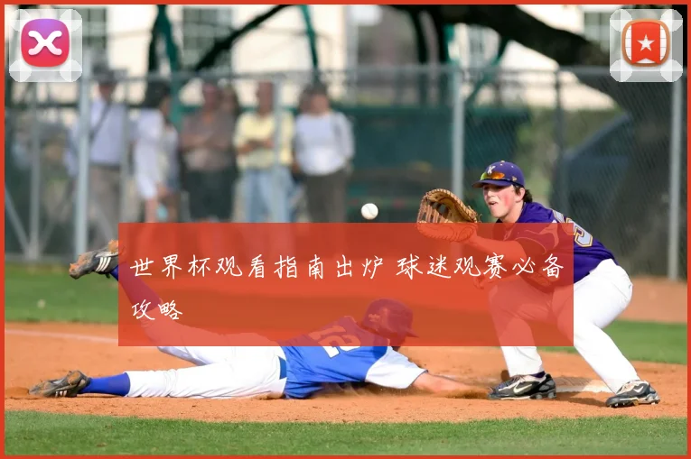 世界杯观看指南出炉 球迷观赛必备攻略