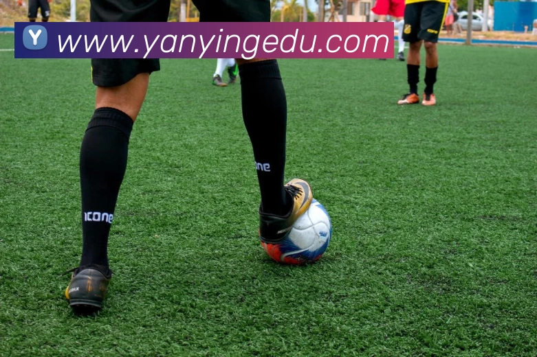 App Interface Preview