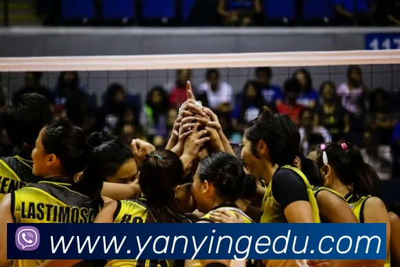 九游体育APP 封面图